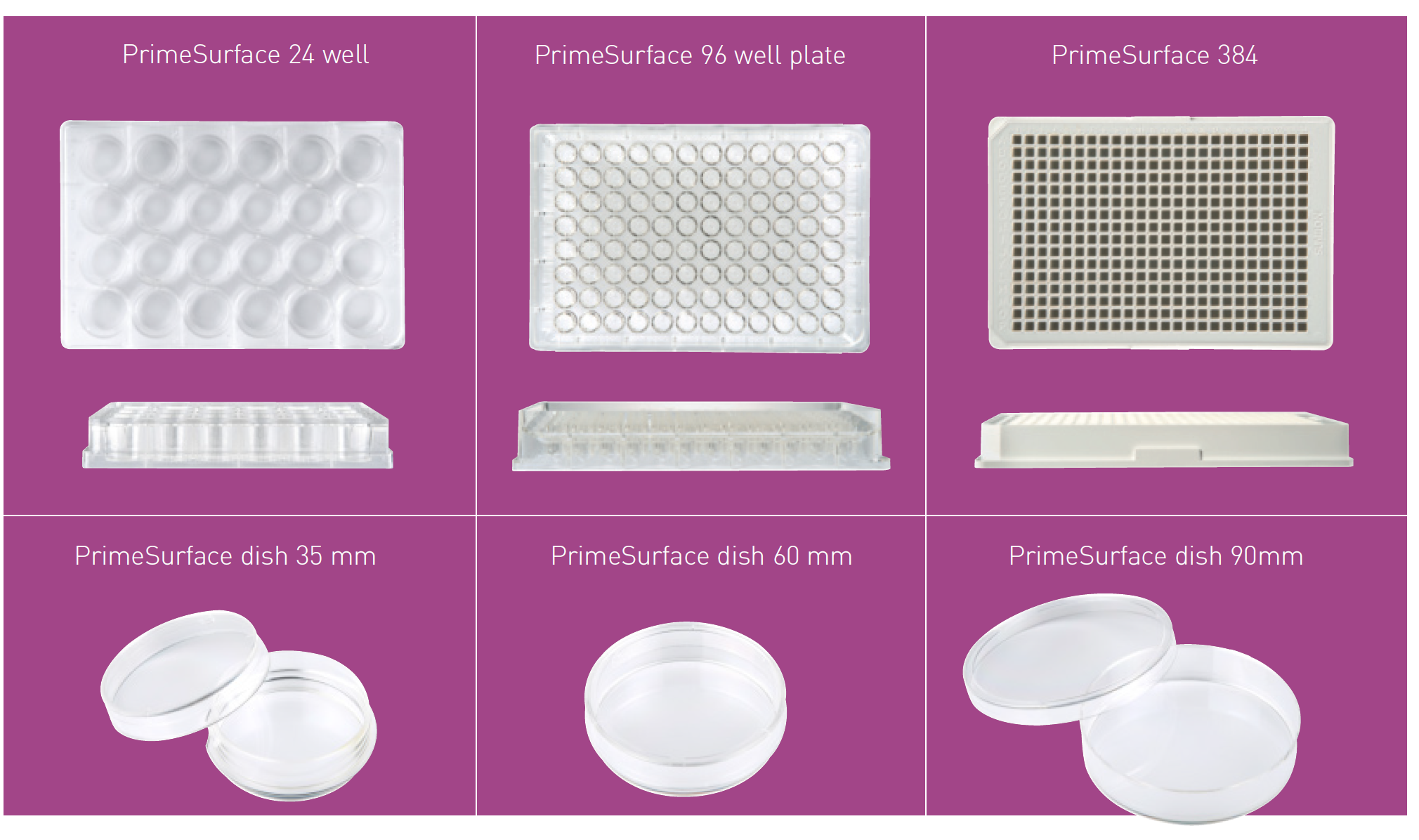 MS-90240Z | Micropiastre Per Coltura Cellulare | Biomedico | PHC ...