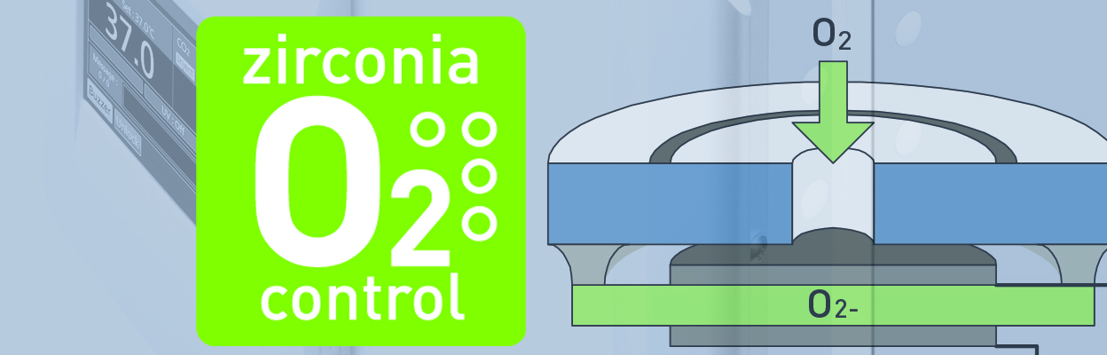 Zirconia sensor