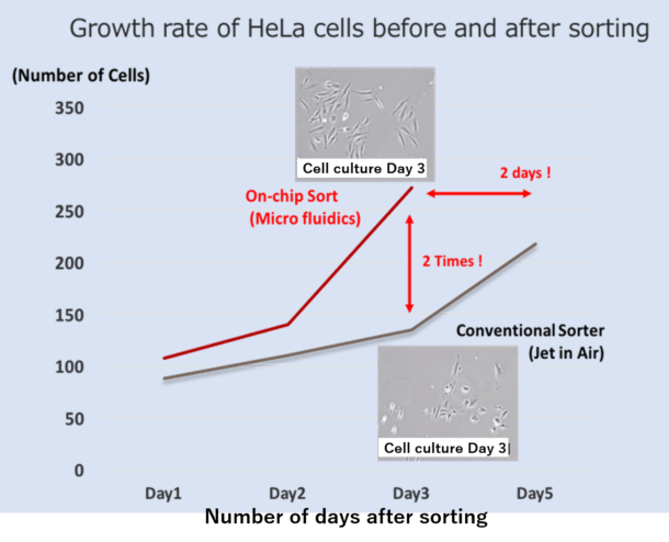 Growth rate of HeLa before and after sorting