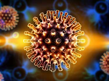 生体組織様3次元環境におけるHIV-1の細胞について