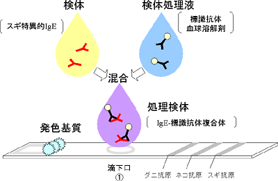 検体の検体処理液との混合と、混合液(処理検体)の反応カセットへの滴下