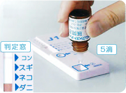 約17分後に結果を印字