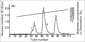 イアトロビーズを用いた赤血球脂質のクロマトグラムの例
