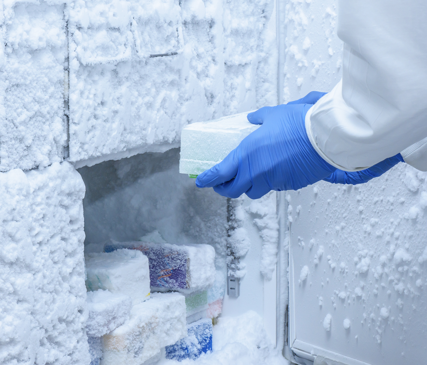 Cell specimens being placed in an ultra-low temperature freezer